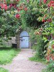 SX08050 Blue wooden door of Dunraven walled garden framed by Fuchsia flowers (Fuchsia magellanica).jpg